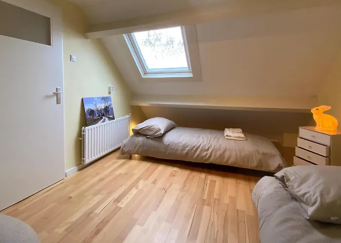 Daire Awesome In With Wifi